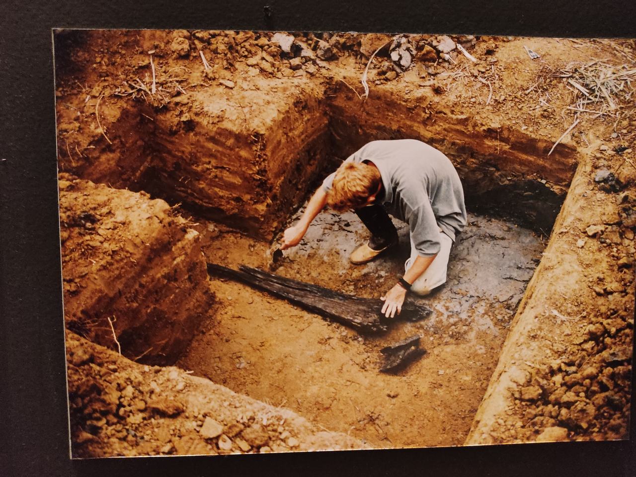 Foto de árvore tombada com as raizes exposta, fato que deu início ao museu