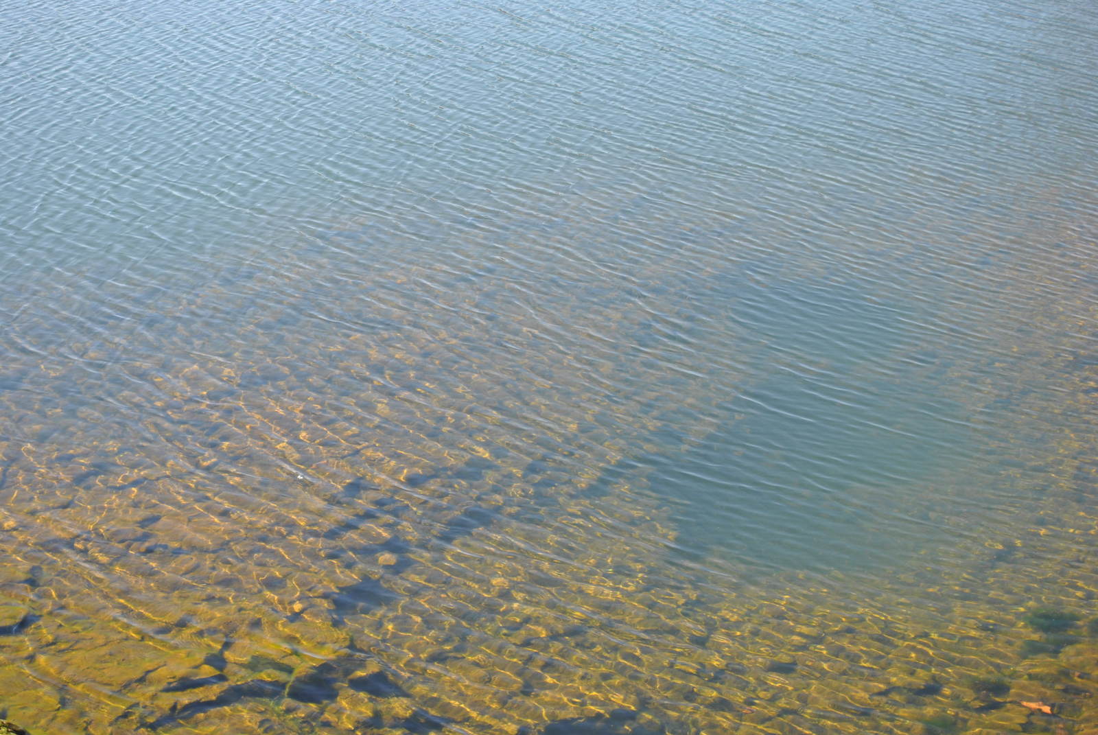 Ponto Sobre o rio Grande